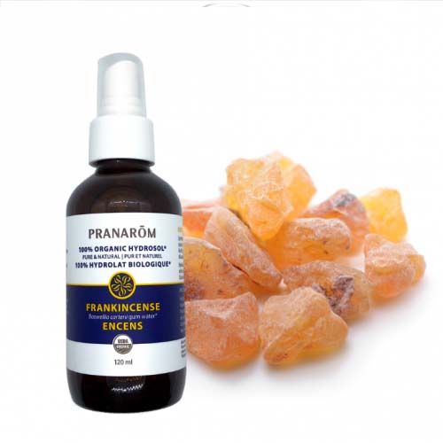 Frankincense Hydrosol